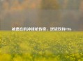 被遗忘的冲锋枪传奇，逆战双持FMG
