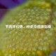 节育环价格、种类及选择指南