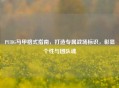 PUBG马甲格式指南，打造专属战场标识，彰显个性与团队魂