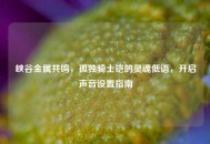 峡谷金属共鸣，孤独骑士铠的灵魂低语，开启声音设置指南