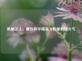 机舱之上，藏在和平精英飞机里的烟火气