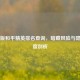 山寨版和平精英排名查询，暗藏风险与隐患深度剖析