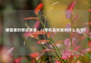硬盘里的巷战青春，CF单机版究竟叫什么名字？