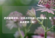 逆战霜寒戒指，战场冰封利器，对比霜染、紫晶谁更胜一筹？