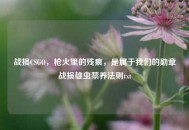 战损CSGO，枪火里的残痕，是属于我们的勋章战损雄虫禁养法则txt