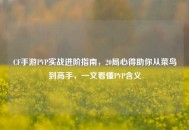 CF手游PVP实战进阶指南，20局心得助你从菜鸟到高手，一文看懂PVP含义