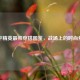 和平精英最帅穿搭图鉴，战场上的时尚焦点