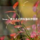 Steam，废土之上的玩家生存狂欢