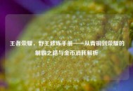 王者荣耀，野王修炼手册——从青铜到荣耀的制霸之路与金币消耗解析