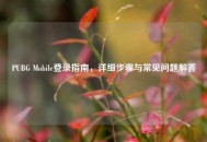 PUBG Mobile登录指南，详细步骤与常见问题解答