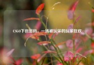 CSGO下包密码，一场被玩坏的玩家狂欢