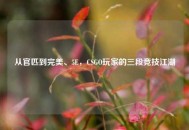 从官匹到完美、5E，CSGO玩家的三段竞技江湖