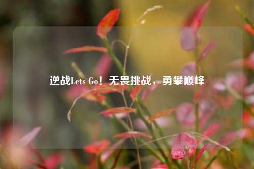 逆战Lets Go!无畏挑战,勇攀巅峰