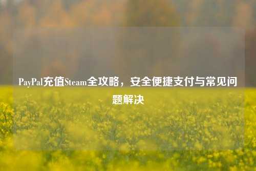 PayPal充值Steam全攻略,安全便捷支付与常见问题解决