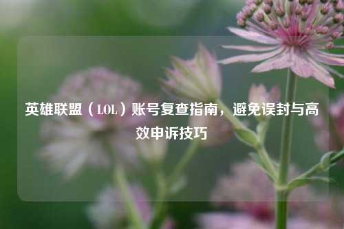 英雄联盟(LOL)账号复查指南,避免误封与高效申诉技巧