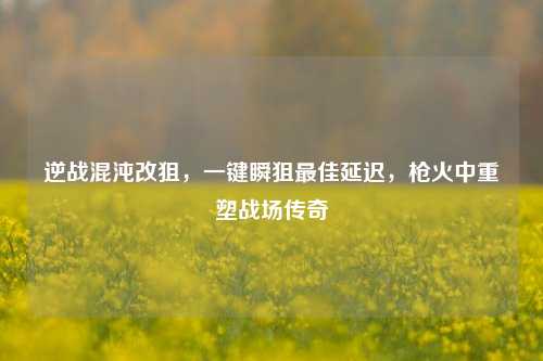 逆战混沌改狙,一键瞬狙更佳延迟,枪火中重塑战场传奇