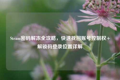 Steam密码解冻全攻略，快速找回账号控制权+解锁码登录位置详解