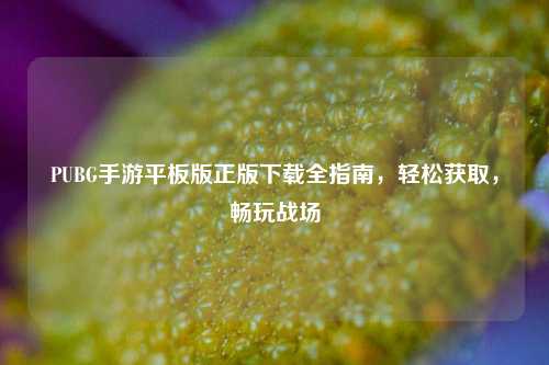 PUBG手游平板版正版下载全指南,轻松获取,畅玩战场