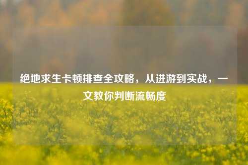 绝地求生卡顿排查全攻略,从进游到实战,一文教你判断流畅度