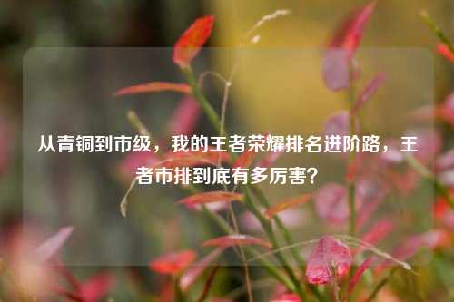 从青铜到市级,我的王者荣耀排名进阶路,王者市排到底有多厉害?