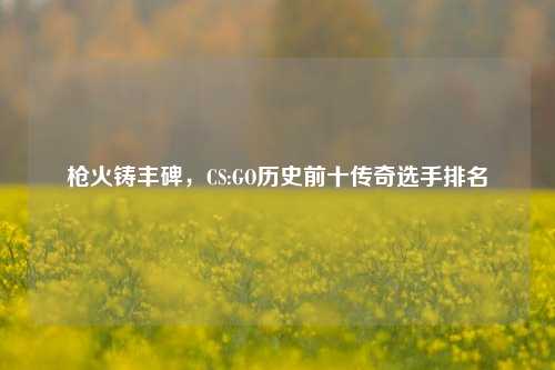枪火铸丰碑,CS:GO历史前十传奇选手排名