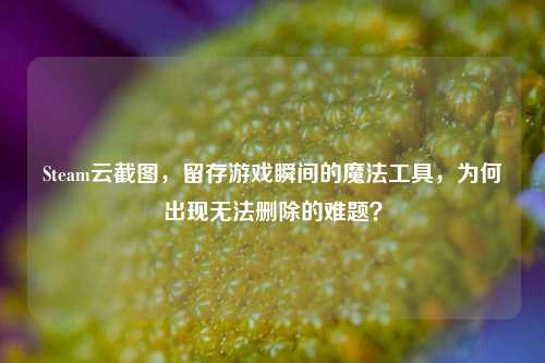 Steam云截图,留存游戏瞬间的魔法工具,为何出现无法删除的难题?
