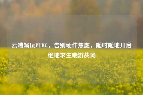 云端畅玩PUBG,告别硬件焦虑,随时随地开启绝地求生端游战场
