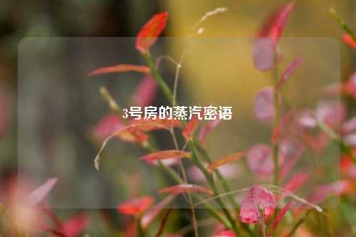 3号房的蒸汽密语