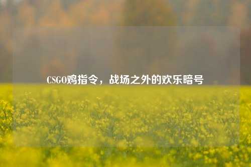 CSGO鸡指令,战场之外的欢乐暗号