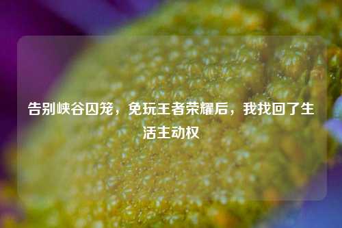 告别峡谷囚笼,免玩王者荣耀后,我找回了生活主动权