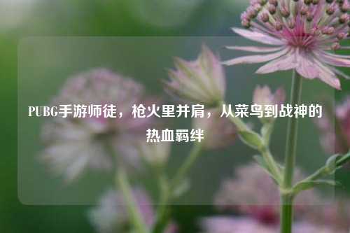 PUBG手游师徒,枪火里并肩,从菜鸟到战神的热血羁绊