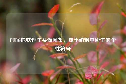 PUBG地铁逃生头像图鉴,废土硝烟中诞生的个性符号