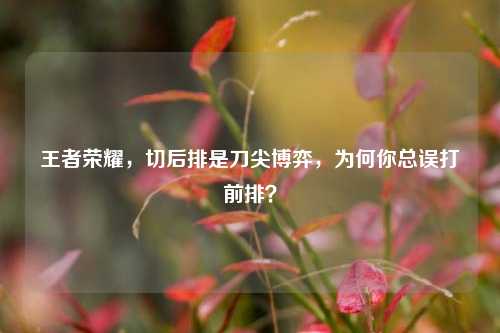 王者荣耀,切后排是刀尖博弈,为何你总误打前排?