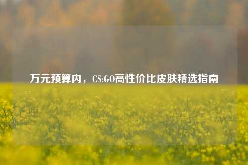 万元预算内,CS:GO高性价比皮肤精选指南