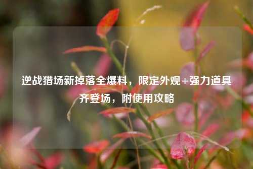 逆战猎场新掉落全爆料,限定外观+强力道具齐登场,附使用攻略