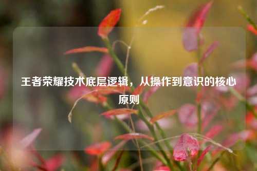 王者荣耀技术底层逻辑,从操作到意识的核心原则