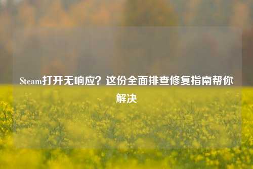 Steam打开无响应?这份全面排查修复指南帮你解决