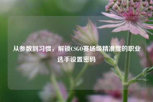 从参数到习惯,解锁CSGO赛场级精准度的职业选手设置密码