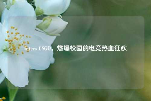 Inters CSGO,燃爆校园的电竞热血狂欢