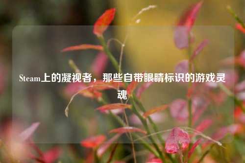 Steam上的凝视者,那些自带眼睛标识的游戏灵魂
