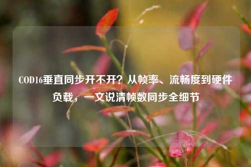 COD16垂直同步开不开?从帧率、流畅度到硬件负载,一文说清帧数同步全细节