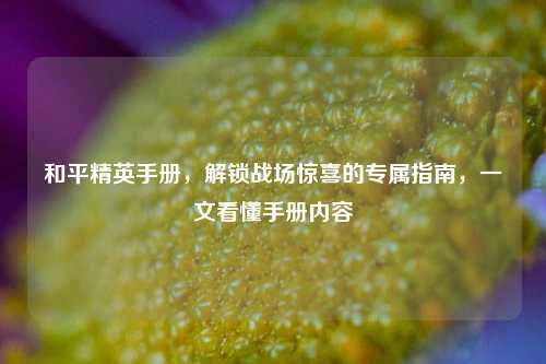 和平精英手册,解锁战场惊喜的专属指南,一文看懂手册内容