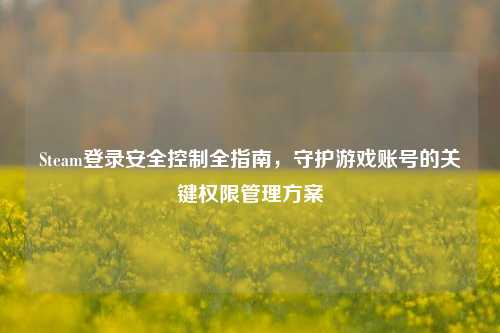 Steam登录安全控制全指南，守护游戏账号的关键权限管理方案