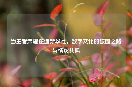 当王者荣耀邂逅新华社,数字文化的破圈之路与情感共鸣