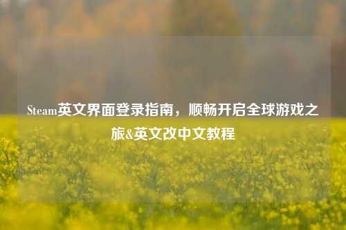 Steam英文界面登录指南，顺畅开启全球游戏之旅&英文改中文教程