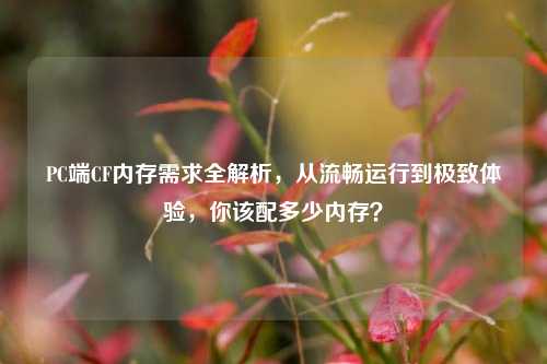 PC端CF内存需求全解析,从流畅运行到极致体验,你该配多少内存?