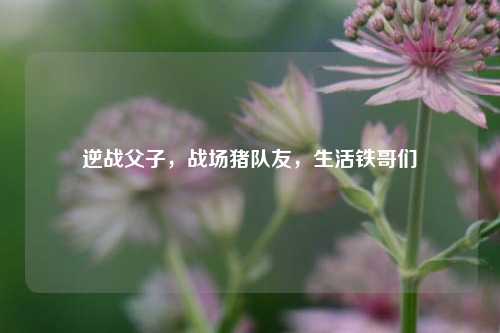 逆战父子,战场猪队友,生活铁哥们