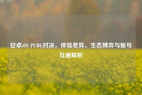 安卓iOS PUBG对决,体验差异、生态博弈与账号互通解析