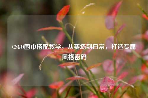 CSGO围巾搭配教学,从赛场到日常,打造专属风格密码