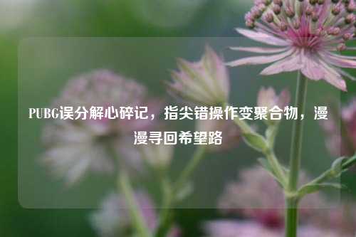 PUBG误分解心碎记,指尖错操作变聚合物,漫漫寻回希望路